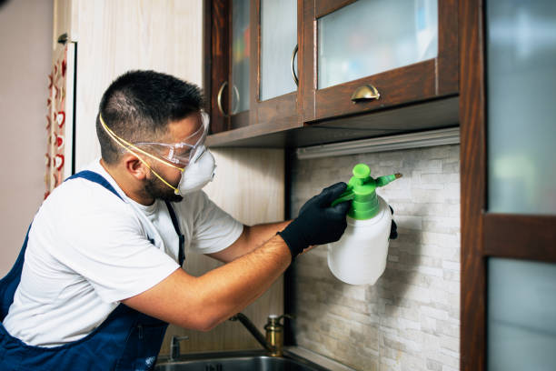 Best Flea Control Services  in Quitman, GA