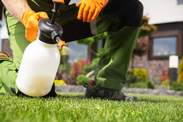 Wildlife Control Services in Quitman, GA