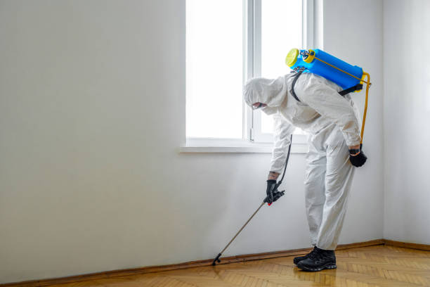 Best Pest Inspection Near Me  in Quitman, GA