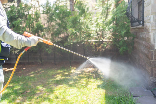 Best Best Pest Control Companies  in Quitman, GA