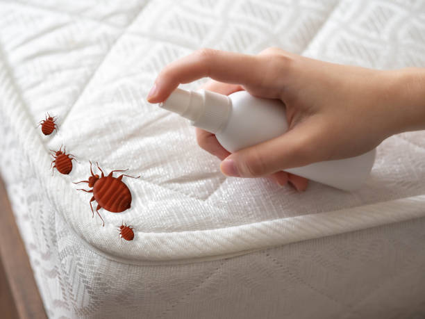 Best Emergency Pest Control  in Quitman, GA