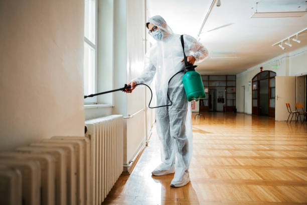 Best Mosquito Control Services  in Quitman, GA