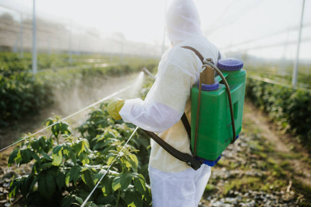 Best Affordable Pest Control Services  in Quitman, GA